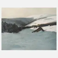 Friedrich Iwan, Winter im Gebirge, Farbradierung auf Velin