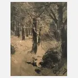 Otto Seitz, Winterwald, Tuschezeichnung mit gekonnter Behandlung des Lichts