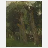 Hans Völcker, Alte Weiden, 1897, Öl auf Malkarton
