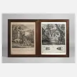 Johann Elias Ridinger, Paar Graphiken, Radierungen