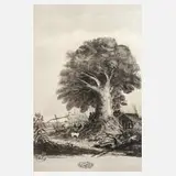 Carlos Morel, "El Ombú", Lithografen