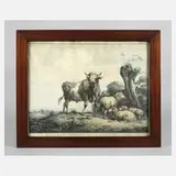 Pieter Gerardus van Os, "Stier mit Schafen", 1803, Radierung