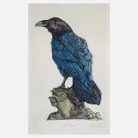 Andreas Weische, "Der Rabe", aquarellierte