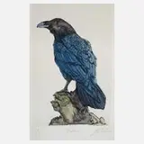 Andreas Weische, "Der Rabe", aquarellierte