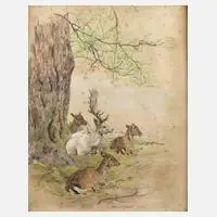 Karl Schicktanz, Ruhendes Wild, 1926, Mischtechnik auf Papier