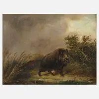 Carl Friedrich Ockert, Schwarzwild, Öl auf Leinwand