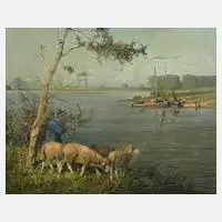 Prof. Hans Bauer, Schafe am Wasser, Öl auf Leinwand