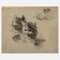 Julius Adam, Katzen, Radierung