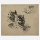 Julius Adam, Katzen, Radierung