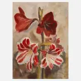 Erich Heckel, Blühende Amaryllis, Aquarell über Graphitzeichnung