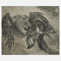 Bernd Hieke, "Jagender Habicht", 1981, Radierung
