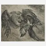 Bernd Hieke, "Jagender Habicht", 1981, Radierung