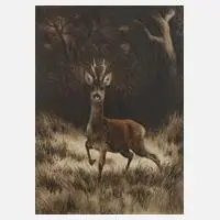 Curt Meyer-Eberhardt, Rehbock im Wald, Farbradierung