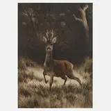 Curt Meyer-Eberhardt, Rehbock im Wald, Farbradierung