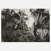 Prof. Gerenot Richter, "Gleichnis", Radierung mit schöner Behandlung des Lichts