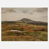 Alfred Tröger, "Hochmoor bei Gottesgab"