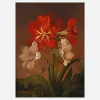 Adolf Kretschmer, Amaryllis, Öl auf Faserplatte