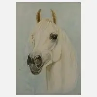 H. J. Kessler, Pferdeportrait, 1978, Aquarell auf Papier