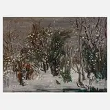 Prof. Heinz Werner, Garten im Winter