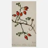 Prof. Albert Schaefer-Ast, "Heckenrosen", Aquarell über Bleistift