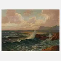 Franz Waldegg, Strandansicht mit Möwen, Öl auf Leinwand