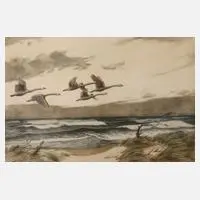 Karl Olzewski, "Wildschwäne im aufkommenden Sturm", Farbradierung