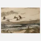 Karl Olzewski, "Wildschwäne im aufkommenden Sturm", Farbradierung
