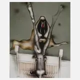 Ptof. Paul Wunderlich, "La Belle et la Bête", Farblithographie