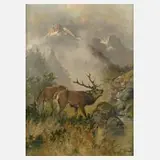 Prof. Georg Berger, Hirsche im Gebirge, Öl auf Leinwand