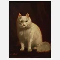 Alexandre Clarys, Katzenportrait, Öl auf Holztafel
