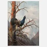 Max Hänger sen., Balzender Auerhahn, Öl auf Sperrholztafel