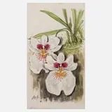 Prof. Albert Schaefer-Ast, Orchideenblüten, Aquarell über Graphit