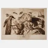 Richard Earlom, "Ein Konzert der Vögel", 1778, Radierung in Braun gedruckt