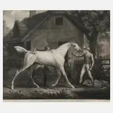 Carle Vernet, dem Reiten, Aquatintaradierung