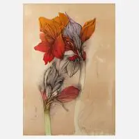 Bruno Bruni, Amaryllis, Farblithographie