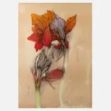 Bruno Bruni, Amaryllis, Farblithographie