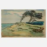 Theodor Schultze-Jasmer, Windflüchter auf dem Darß, aquarellierter