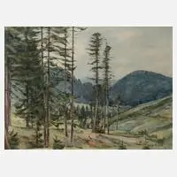 Max Nehrling, Im Thüringer Wald, Aquarell über Graphit