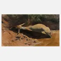 Wilhelm Kuhnert, Wasserbüffel in der Suhle, Öl auf Leinwand und Karton