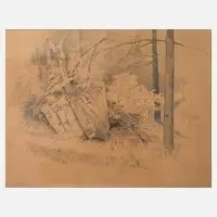 Prof. Hermann Vogel, Felsen im Burgsteingebiet, Zeichnung