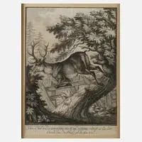 Johann Georg Winter, Flüchtender Hirsch, Kupferstich