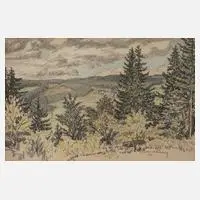 Richard Grimm, Blick ins Vogtland, 1919, Lithographie