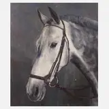 Helmut Bachach-Baree, Reitpferd "Sascha", Öl auf Hartfaserplatte