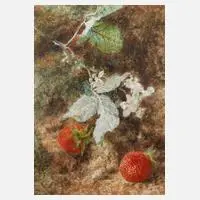 John Jessop Hardwick attr., Erdbeeren, Aquarell und Deckfarben