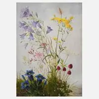 Minni Herzing, "Rasenstück mit verschiedenen Wildblumen", Federnelke