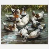 Christian Jereczek, Enten im Wasser, Öl auf Leinwand