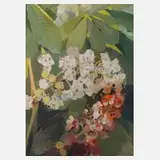 Hans Sachs, Kastanienblüte, Gouache