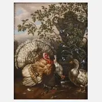Josef Chocholatz, Federvieh an der Quelle, Öl auf Karton