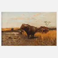 T. Klemm, Büffel in der Steppe, Öl auf Leinwand