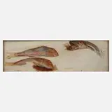 Prof. Franz Xaver Simm, Fischstudie, Tusche